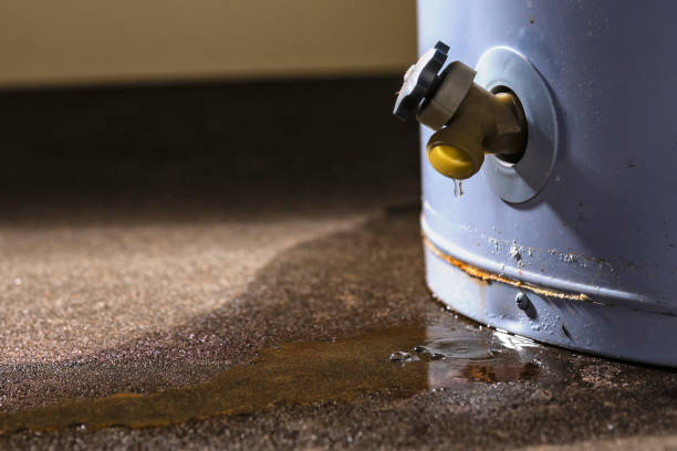 Best Water damage restoration near me  in Zuni Pueblo, NM