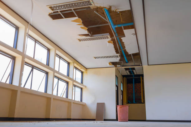 Best Flooded house restoration  in Zuni Pueblo, NM
