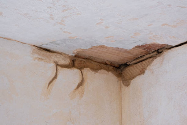 Best Professional water damage repair  in Zuni Pueblo, NM