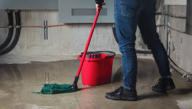 Best Ceiling water damage repair  in Zuni Pueblo, NM