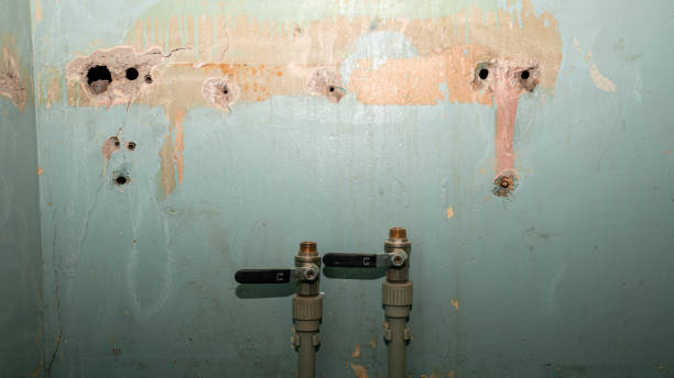 Best Sewage cleanup and water damage restoration  in Zuni Pueblo, NM