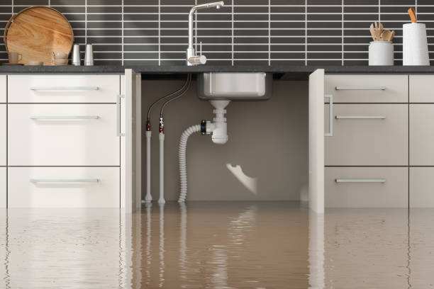 Reliable Zuni Pueblo, NM Water damage restoration Solutions