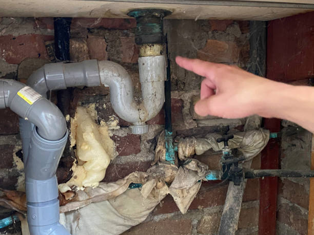 Best Local water damage restoration  in Zuni Pueblo, NM