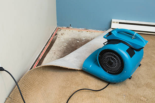 Best Carpet water damage restoration  in Zuni Pueblo, NM